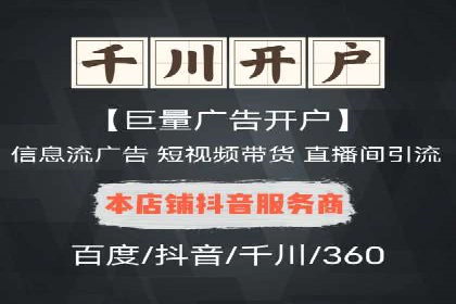 某电商平台的SEM运营实战与效果分析
